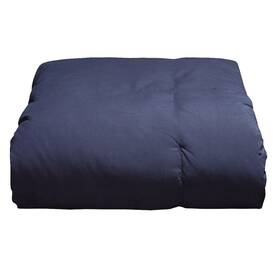 Blue Ridge Home Fashions 788904130428 Microfiber Down Alternative All Season Comforter-hypoallergenic Polyester Fill