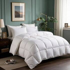 Se003124 Blue Ridge Home Fashions Goose Feathers Down Fiber Comforter Size Duvet Twin White/all Season