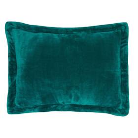 Brylanehome 196438264647 Bh Studio Microfleece Sham - Standard Peacock