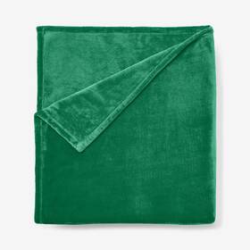 Brylanehome 196438849905 Bh Studio Microfleece Blanket - Twin Emerald