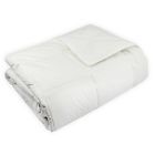 C601-040 Century Home Natural Woolmark Certified Pure Wool Filled 779386601049