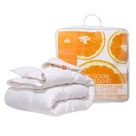 Canadian Down & Feather Company 690664321421 And Co. - All Season White Goose Duvet Comforter