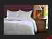 Ccq50 Natural Comfort Classic White Goose Feather Comforter King Size New