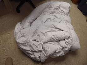 Charter Club 762120385589 Premium White Down Mid Weight Comforter Full Size Excellent Pre
