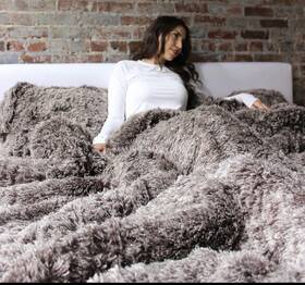Coma Inducer 843249169233 Are You Kidding-coma Oversized Comforter Frosted Choc. Calif King