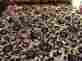 Comf-26 Xlarge West Elm Nwt Cream Black Satin Velvet Floral King Size Comforter Quilt Set