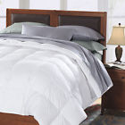Z1842 Comforter Fill White Gusseted Batiste - 370tc Synthetic Cuddledown