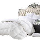 Comin16ju033048 Egyptian Cotton Factory Outlet Store Luxurious Twin Xl 797337456708
