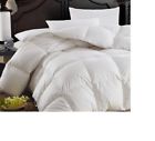 Comin18ju076176 White Luxurious Goose Down 0709202944524