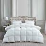 Cominhkr005038 Branded Luxury Siberian Goose Down Comforter Egyptian Cotton 681189554388