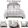 Cominhkr027644 Egyptian Cotton Factory Outlet Store Luxurious Twin Size 825625275974
