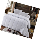 Cominhkr028799 Sheetsnthings Royal Hotel Collection 825624739941