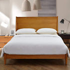Cominhkr078743 Moons Sleepwares Full Size Pure Long Grade Mulberry Silk Comforter