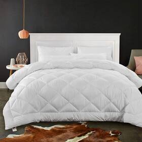 Cozynight 653854579248 Soft Oversize King Comforter-lightweight Alternative Comforter Duvet I