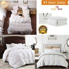 D8bkb8 Sleep Rhythm Goose Down Comforter Duvet Insert Hypoallergenic 0724754887556