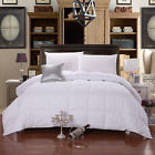 Dd21 Topsleepy Goose Down Alternative Comforter