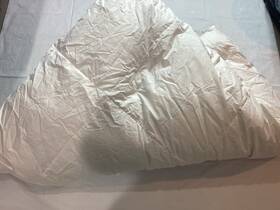 1533609 Downlite Hotel Collection White Goose Down Comforter Queen King