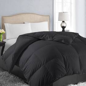 Jmk016-2219 Easeland All Season Queen Size Soft Quilted Down Alternative Comforter Reversible Duve