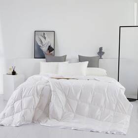 Eastwarmth 602299712666 Lightweight Goose Down Comforter/down Blanket/duvet Insert For Summer/warm We
