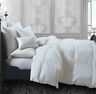 Ebnd4967 39954536 Ebern Designs Raymond Single Comforter