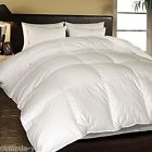 European Prices 1000 Comforter Egyptian Queen 800 Full White Ridge Cotton Blue Tc