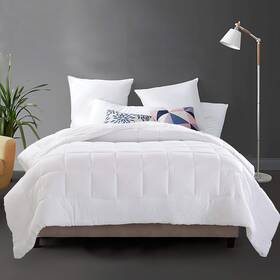 Evolive 850042124635 All Season Comforter Ultra Soft Pre-washed Microfiber Down Alternative Duve