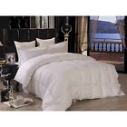 Fbabrfcq60 Warm And Luxurious Heavy 859481006069
