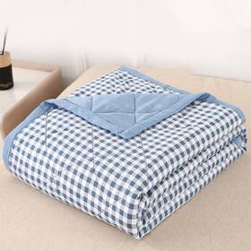 Fridja 680358073101 Thin Microfiber Breathable Plaid Pattern Bedding Comforter Queen