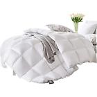 Gdcnp01 Np Luxurious Goose Down Comforter All Season Duvet 707870837827