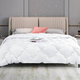 Gelsea 810115754916 Comforter Duvet Insert For Queen Size Quilted Down Alternative Duv