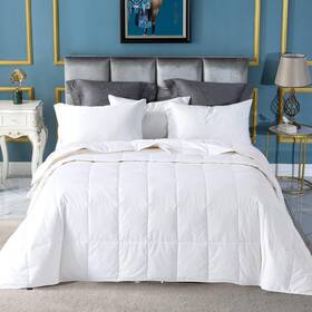 Globon 941601105302 Summer Down Comforter King Size Extra Lightweight Blanket/duvet Insert
