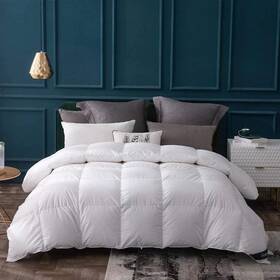 Globon 941601132568 Goose Down Comforter California King Size All Season Duvet Insert 400