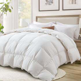 Globon 941601139826 Ultra-soft Down Feather Comforter Queen Size Luxurious Fluffy Hotel