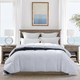 Globon 970404393456 Fluffy Down Comforter Queen Size All Season