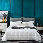 Xjmy-b17024 Globon White Goose Down Comforter Blanket Queen Duvet Insert Lightweight Summer