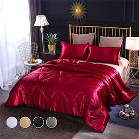 Holawakaka 778365184115 Solid Satin Silk Like Quilt Set Ultra Soft Deluxe Comforter Pillowcase Queen