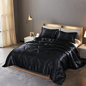 Holawakaka Solid Satin Silk Like Quilt Set Luxury Ultra Soft Silky Comforter Pil
