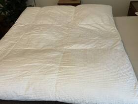 Fa19 Hotel Collection European White Goose Down Comforter Medium Weight King