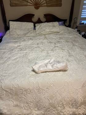 J Queen 193842110096 New York Blossom Woven Jacquard 4 Pc Size Comforter Set Ivory