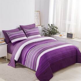 Hu-xi-172 Kakijumn 7 Piece Bed In A Bag Stripe Comforter Set King Size White And Purple