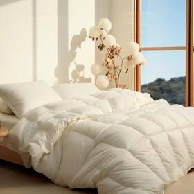 Lefarfadet 743363920058 Le Farfadet All Season Queen Size Comforter Ultra Soft Goose Down Alternativ