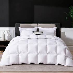 Lesnncier 979443050054 Luxury Goose Feathers Down Comforter Oversized King Size 750 Fp Fluffy All Seas