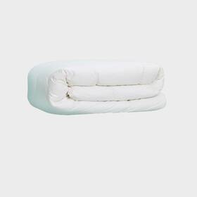 Fba-ca-ld-2-gd-600-k39 Linens Delight Manufactured In Canada - Highland Feather All Season King White-all