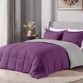 Lovtex 760882022568 2pcs Purple Twin Comforter Set - Ultra Soft Washed Microfiber Sets