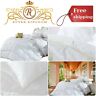 Md845695 Best Choice Luxurious Linens Alternative Comforter Hypo Allergenic Egyptian Cotton