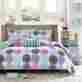 Mz80-238 Mizone Bedding Sets Full For Teens Girls Coverlet Quilt Purple Teal Kids Bedroom Gifts 675716534790