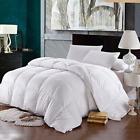 N-a Snowman Hypoallergenic Box Stitched Duvet 798220478418