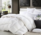 Na Egyptian Cotton Factory Outlet 825625007483