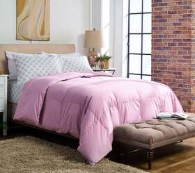H226381 Northern Nights 650 Fill Power Cotton Down Comforter-king In Used