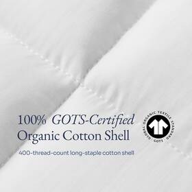 Organic Favorite 199284250178 100% White Cotton Comforter Allseason Hypoallergenic Down Alternative